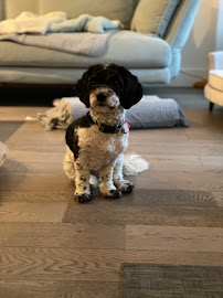 Lonsdale Place Veterinary Clinic