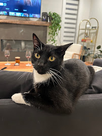 Lonsdale Place Veterinary Clinic