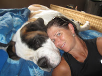 Cornwall Animal Hospital in Oakville