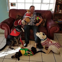 Awesome Care Veterinary and Laser Center