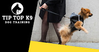 Tip Top K9 Dog Training of OKC