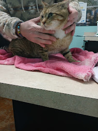 Brookwood Animal Clinic