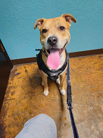 Brookwood Animal Clinic