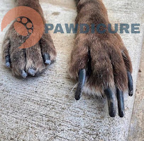 Pawdicure - Mobile Pet Nail Trims