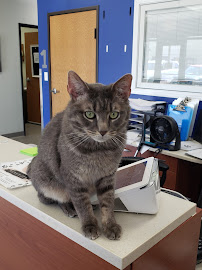Bella SPCA Non-Profit Veterinary Hospital