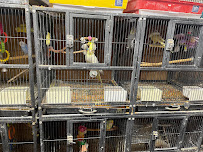 Pet Lovers Pet Shop and Grooming
