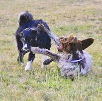 Double Dog Ranch Oregon