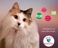 Coastal Paws Pet Sitting