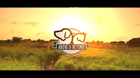 Above and Beyond Petcare