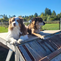 Priority Pet Boarding Service.Inc
