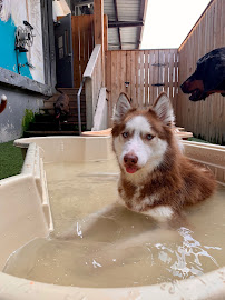 Friendly Paws Pet Resort, LLC