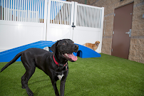 PawSpa Resort
