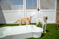 Fetch Pet Care