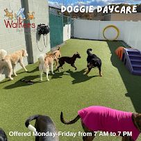 Woofles Premier Pet Resort