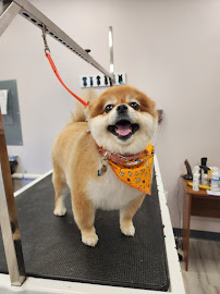 Camp Bow Wow Pittsburgh East