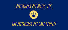 Say It Once Dog Training