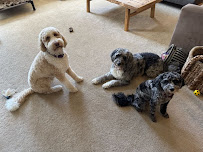 Country Lane Pet Hotel & Pet Supplies