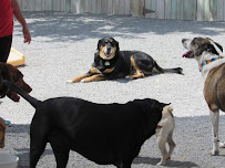 Petagogy