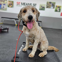 Pittsburgh Premier Veterinary Care and Rehab