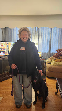 Pittsburgh Premier Veterinary Care and Rehab