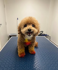 Rivers Veterinary Urgent Care