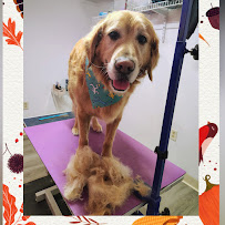 Rivers Veterinary Urgent Care