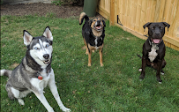 FurEver Good Dog Training
