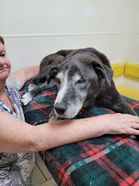 East End Veterinary Medical Centre