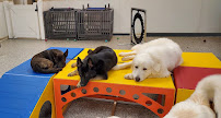 Noble Woof Dog Training PDX