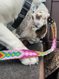 Ospika Pet & Farm Supplies