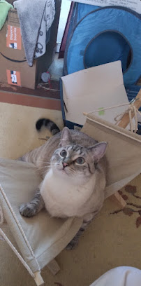 Birchwood Veterinary Clinic