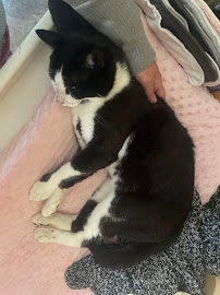 Birchwood Veterinary Clinic