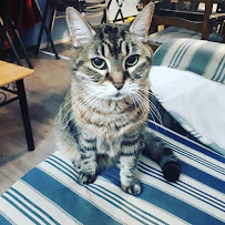 Ospika Animal Hospital