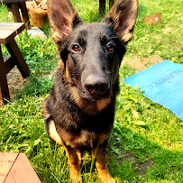 Ospika Animal Hospital