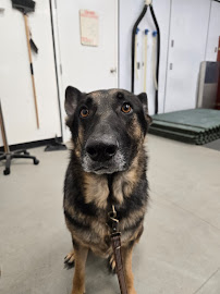 Murdoch Veterinary Clinic