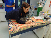 Prince George Veterinary Hospital