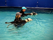 Companion Animal Clinic