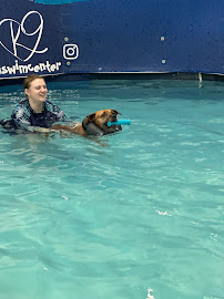 Companion Animal Clinic