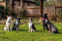Hometown Pets - Springfield