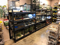 VCA McKenzie Animal Hospital