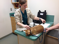 Cascade Animal Clinic