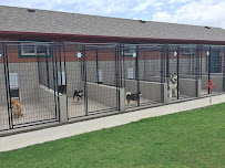 Attaboy Boarding Kennels