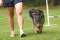 Kinetic K9s LLC
