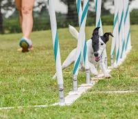 Kinetic K9s LLC