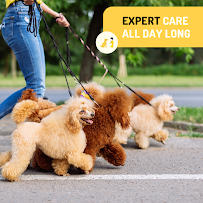 Urban Tail Dog Walking & Pet Services, Toronto