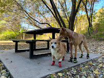 We Will Walk You