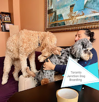 PawSome Pet Care
