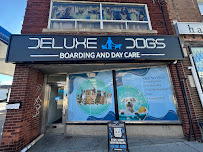KYON Dog Daycare