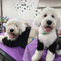 Hello Pets Inc.