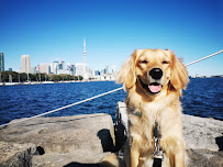 PetPal Care